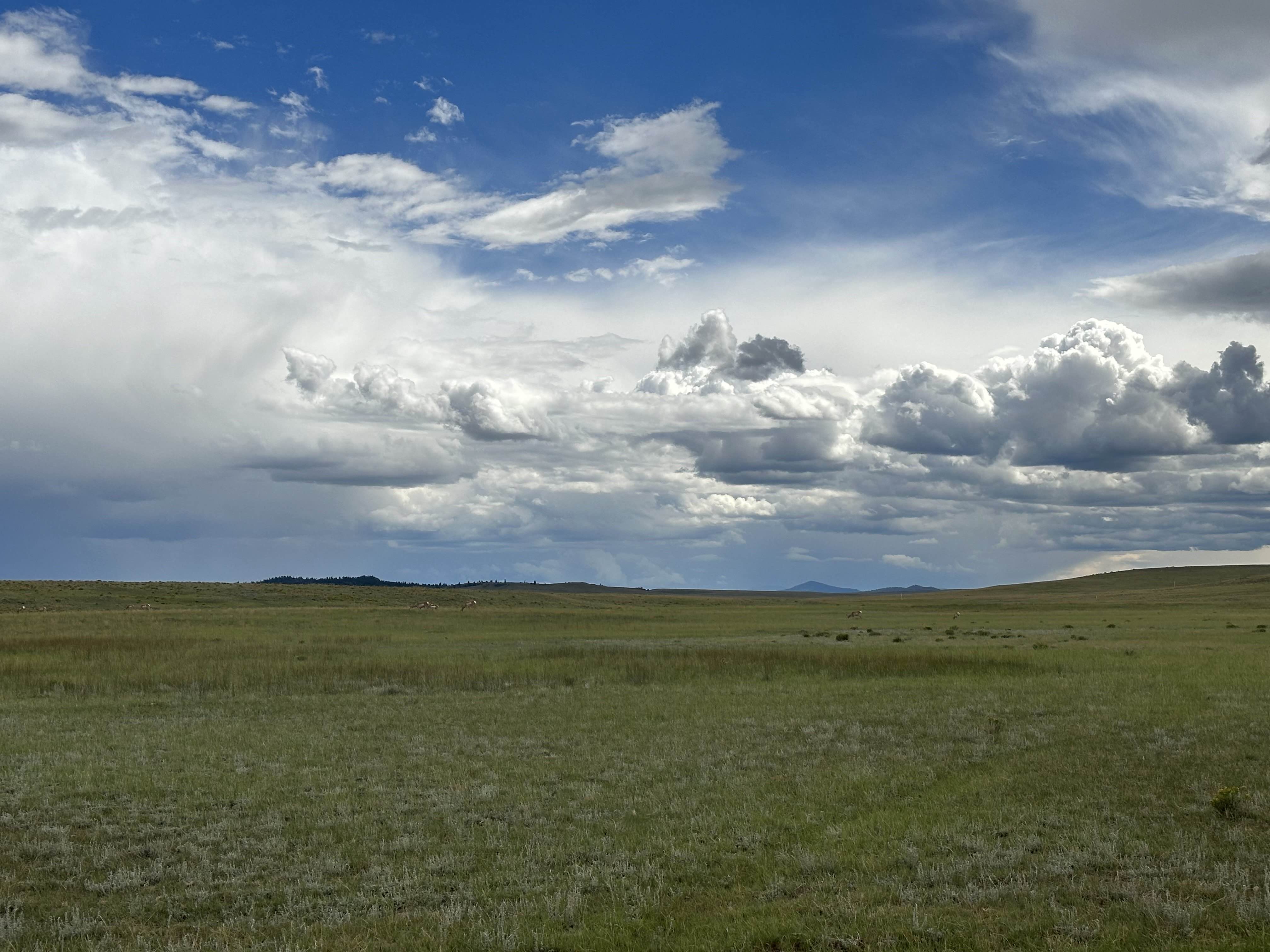 Wide open high plains with dramatic Colorado skies